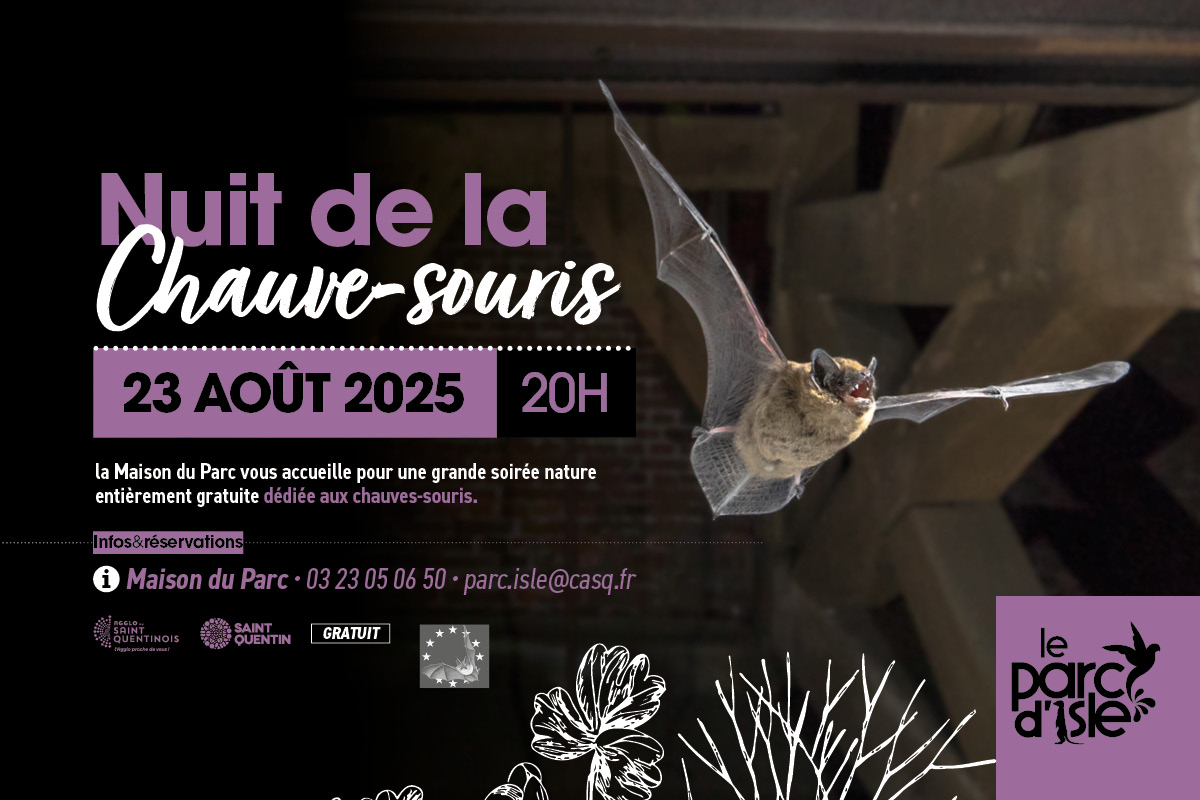 Nuit de la chauve-souris au Parc d’Isle à Saint-Quentin : conférence et sortie nature