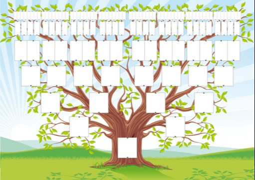 À la découverte de ton arbre généalogique en famille !