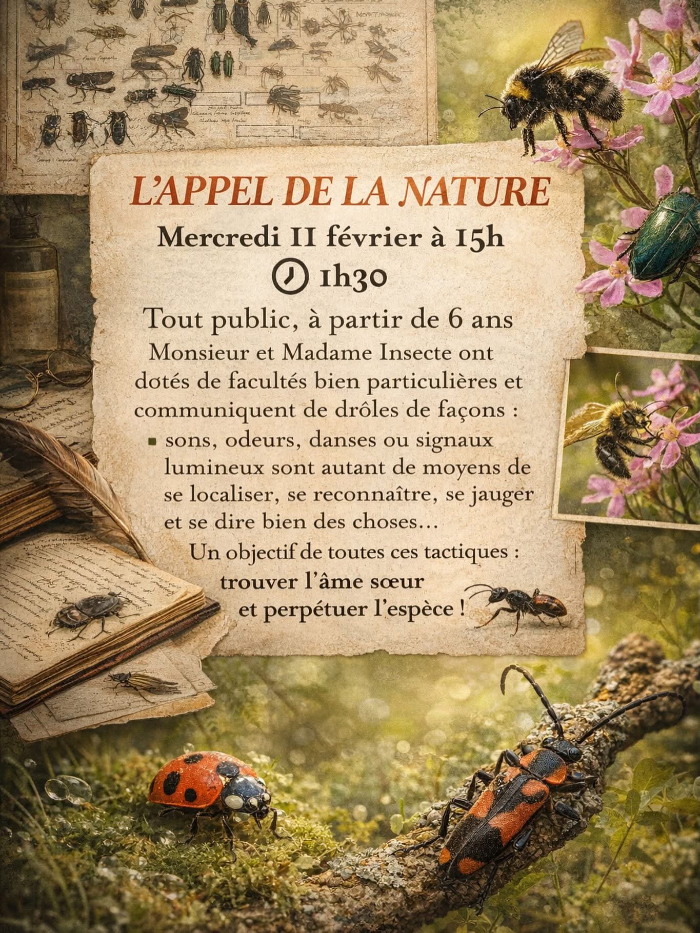 Visite guidée au musée des papillons : L&rsquo;appel de la nature