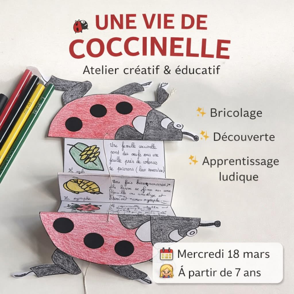 Atelier enfants au Musée des papillons : Une vie de coccinelle