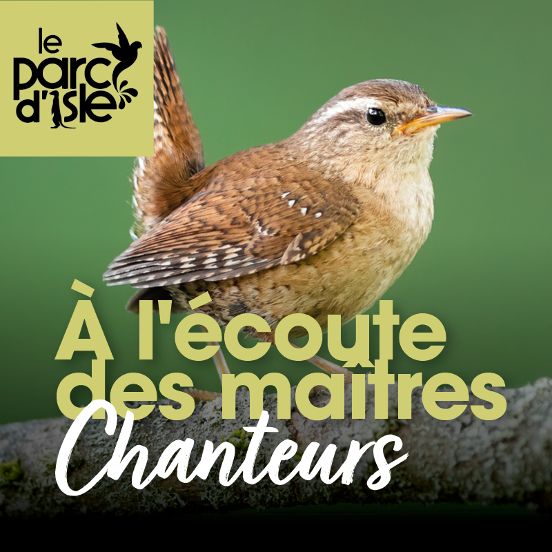 À l&rsquo;écoute des maîtres chanteurs au Parc d&rsquo;Isle