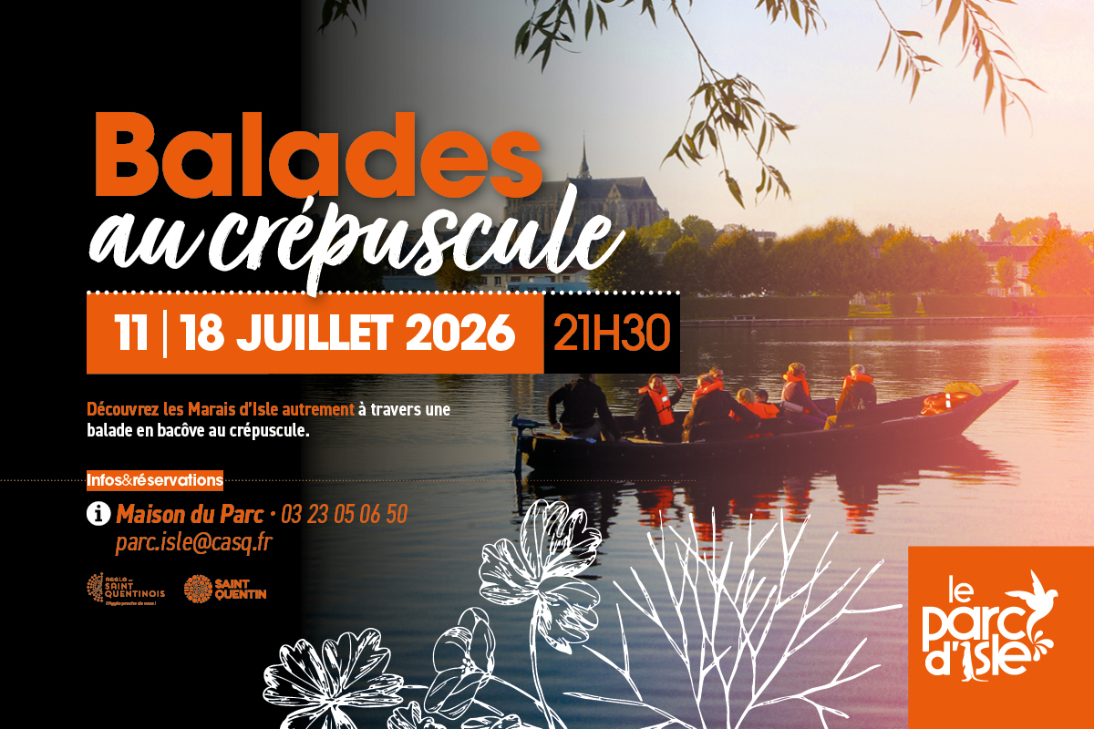Balades en bâcove au crépuscule dans les marais d’Isle à Saint-Quentin