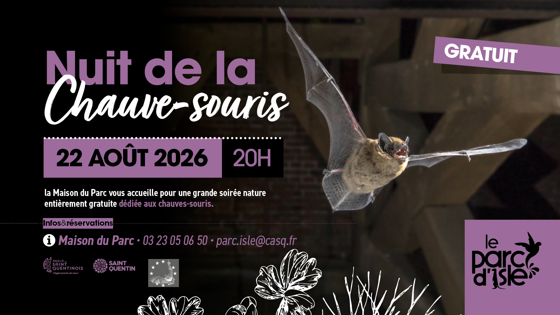 Nuit de la chauve-souris au Parc d&rsquo;Isle à Saint-Quentin : conférence et sortie nature