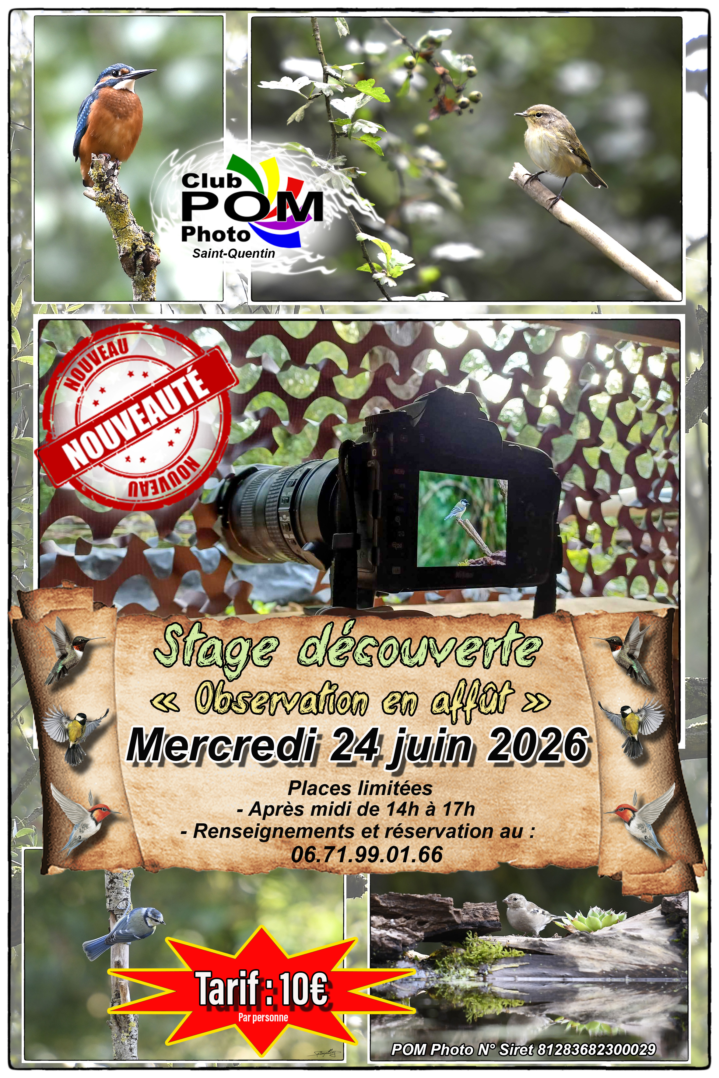 Stage Observation en affût avec Pom Photo
