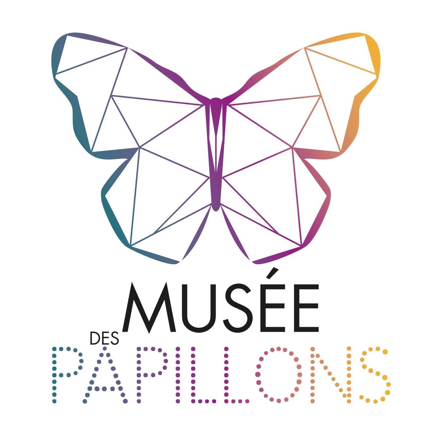 Visite guidée : Les insectes à la maison