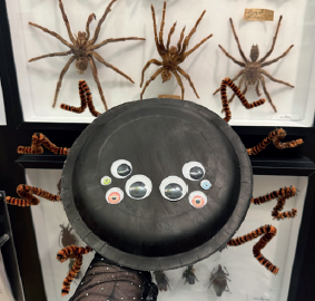 Atelier enfants au Musée des papillons : Mon araignée pour Halloween