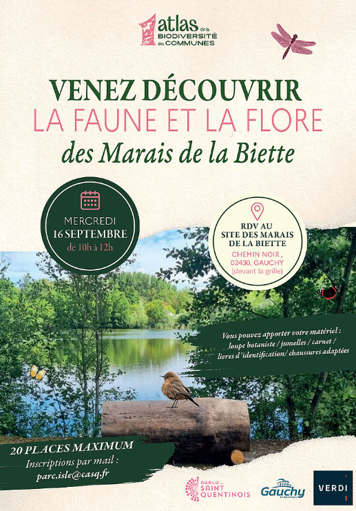Visite nature : Les marais de la Biette à Gauchy