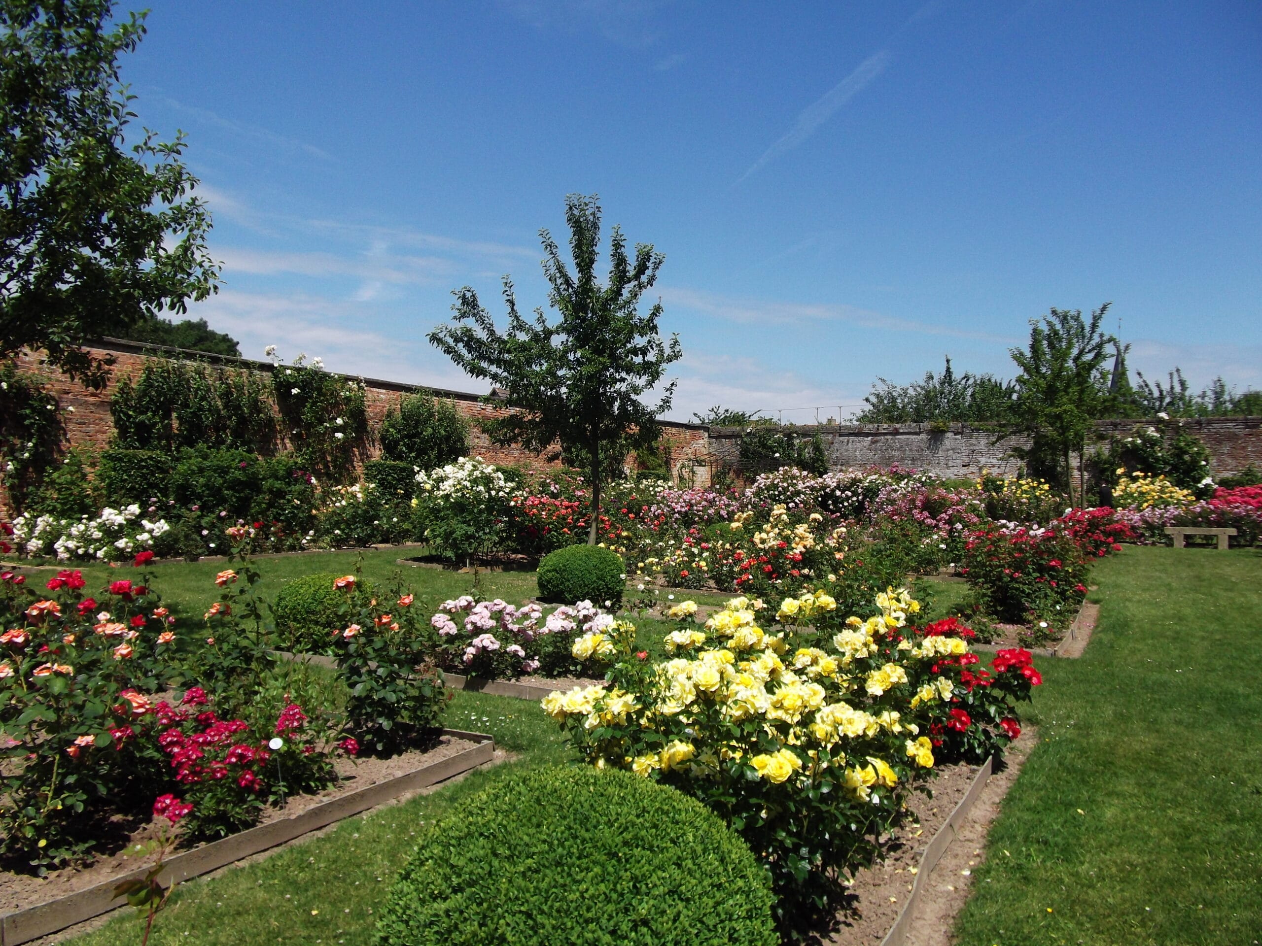 Roseraie 2021 @Domaine Millenaire du Chateau de Rambures scaled - Office de tourisme du Saint-Quentinois