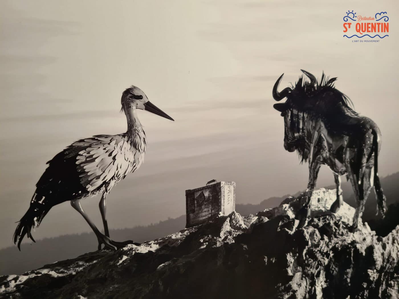 les bestioles expositions saint jacques by dayan briche destination saint quentin 09 - Office de tourisme du Saint-Quentinois