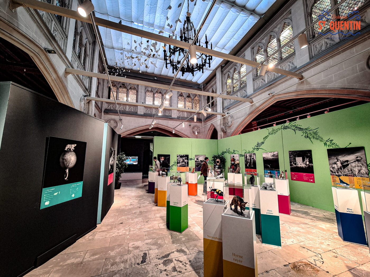 les bestioles expositions saint jacques by dayan briche destination saint quentin 15 - Office de tourisme du Saint-Quentinois
