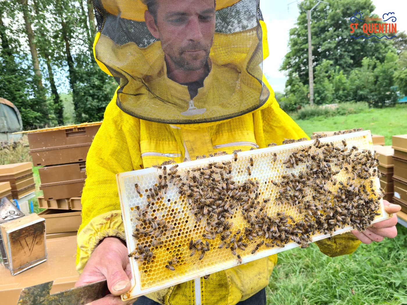 ambassadeur les abeilles de francilly 04 - Office de tourisme du Saint-Quentinois
