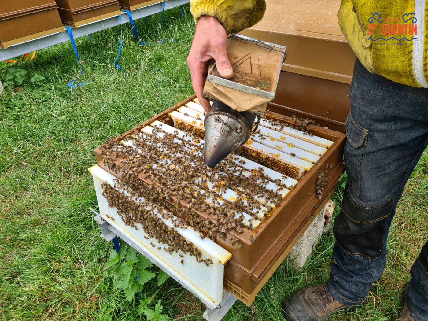 ambassadeur les abeilles de francilly 16 - Office de tourisme du Saint-Quentinois