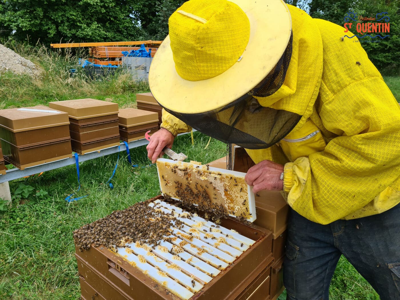 ambassadeur les abeilles de francilly 17 - Office de tourisme du Saint-Quentinois