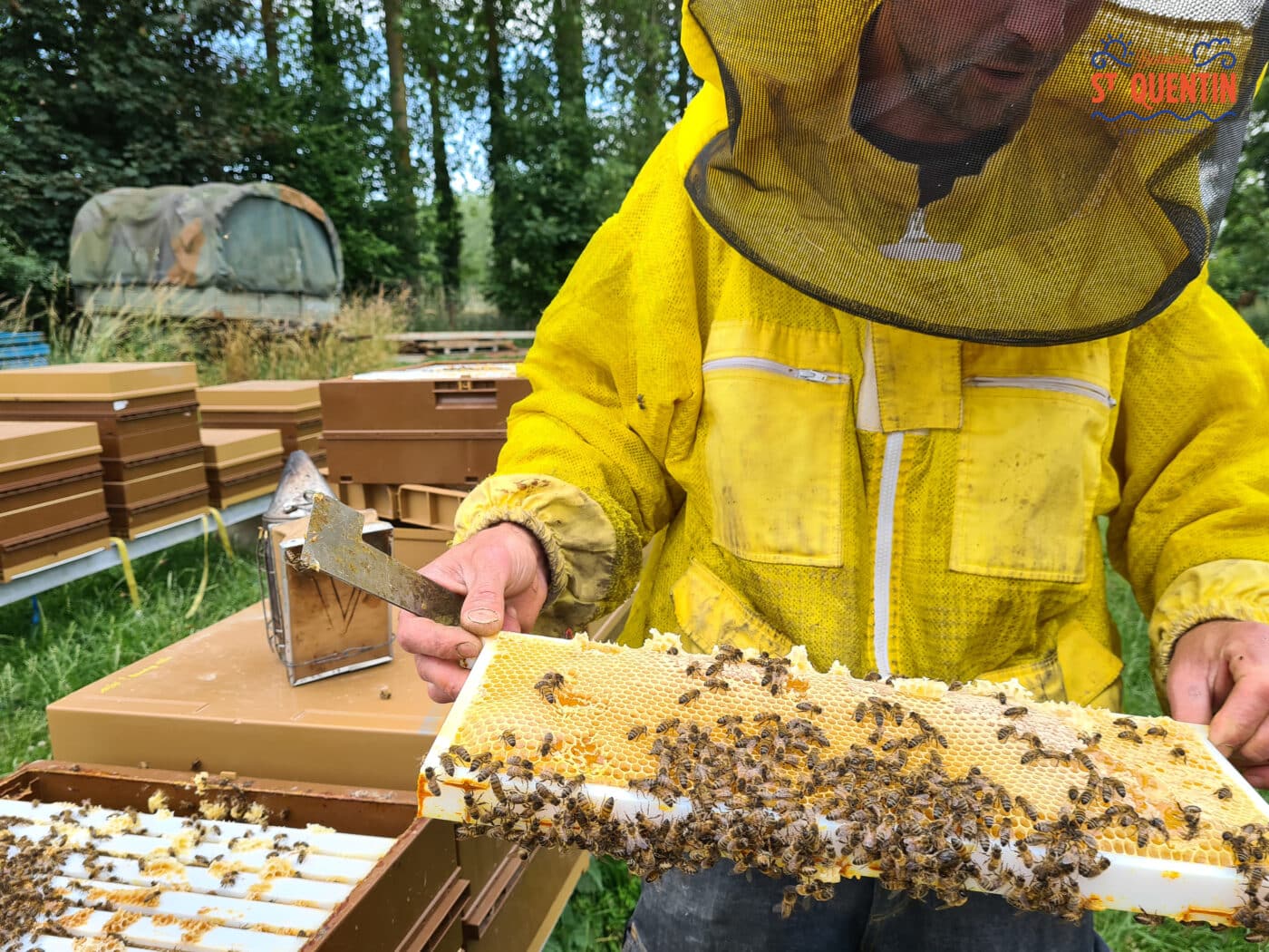 ambassadeur les abeilles de francilly 18 - Office de tourisme du Saint-Quentinois