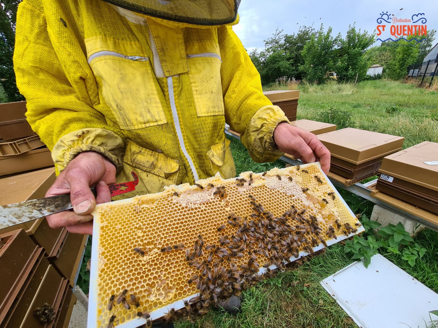 ambassadeur les abeilles de francilly 21 - Office de tourisme du Saint-Quentinois