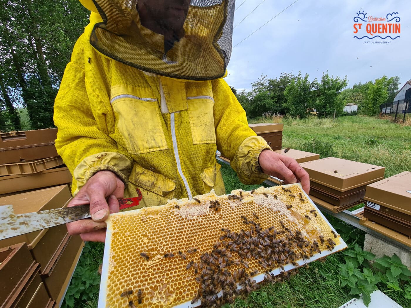ambassadeur les abeilles de francilly 22 - Office de tourisme du Saint-Quentinois