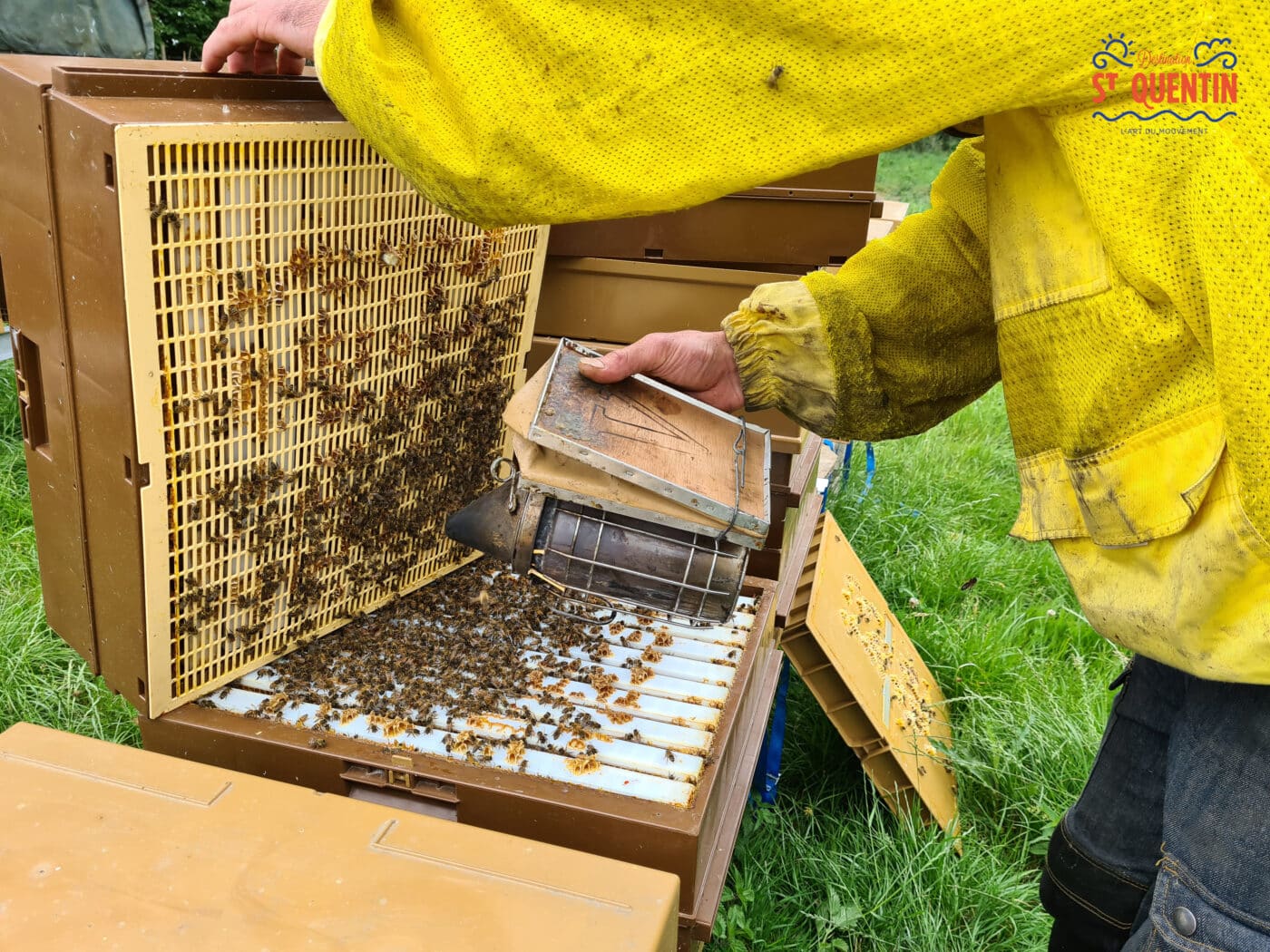 ambassadeur les abeilles de francilly 23 - Office de tourisme du Saint-Quentinois