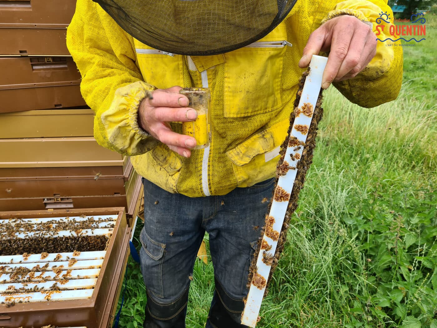 ambassadeur les abeilles de francilly 26 - Office de tourisme du Saint-Quentinois