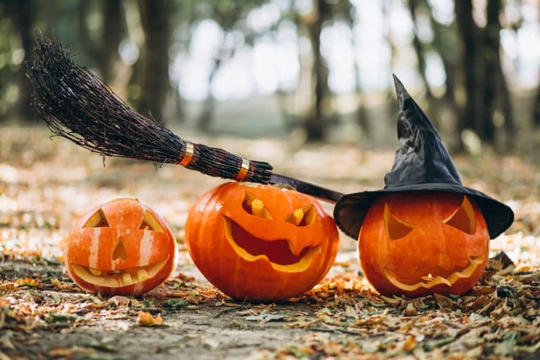 Halloween s’invite dans le Saint-Quentinois ! 1 p18 - Office de tourisme du Saint-Quentinois