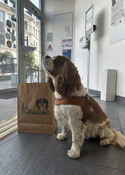 Tina, 4 ans, France