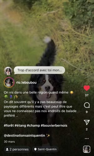 #destinationsaintquentin