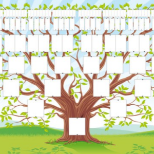 Petits experts du Patrimoine : À la découverte de ton arbre généalogique en famille !