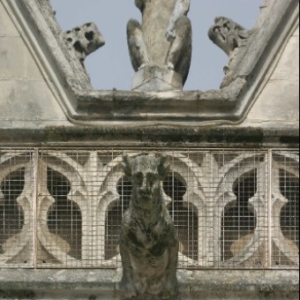 Petits experts du Patrimoine : Les monstres de l'Hôtel de Ville !