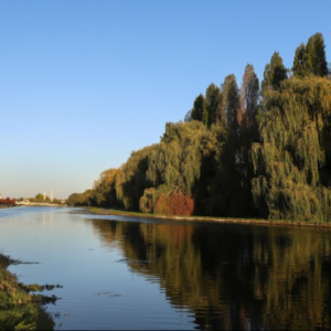 Visite guidée : Balade le long du Canal